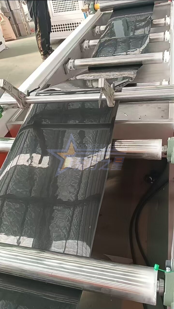 Cuairteanna Custaiméirí ar Mhonarcha Qingdao EASTSTAR le haghaidh Rith Triail Ar-Suíomh Líne Táirgeadh Bileoga Tráidire Síolóige PP/PS